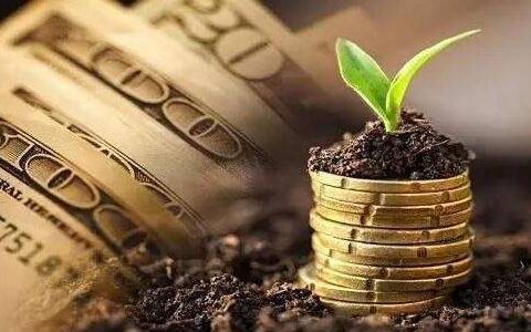 期货直播优选平台推荐